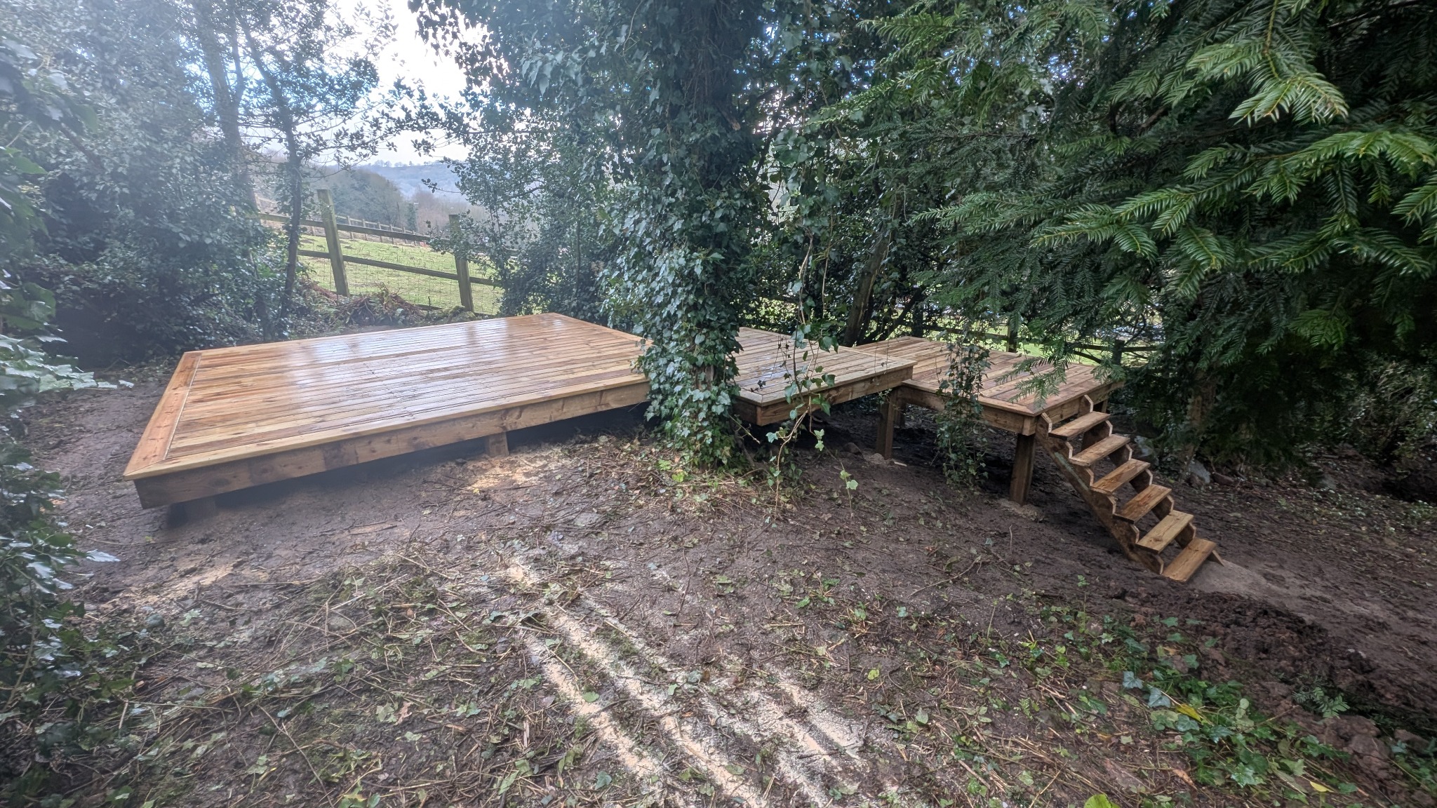 Timber deck and steps carefully fitted around mature garden trees